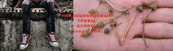 бутират Аркадак