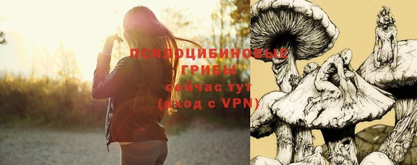 таблы Россошь