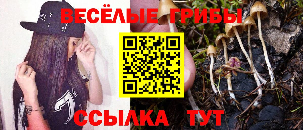 Псилоцибиновые грибы мухоморы Гуково