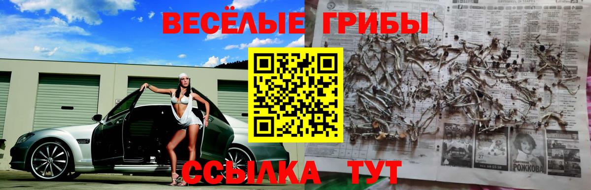 Гуково  Галлюциногенные грибы прущие грибы  Галлюциногенные грибы прущие грибы  купить наркотики цена  Вход с VPN 
